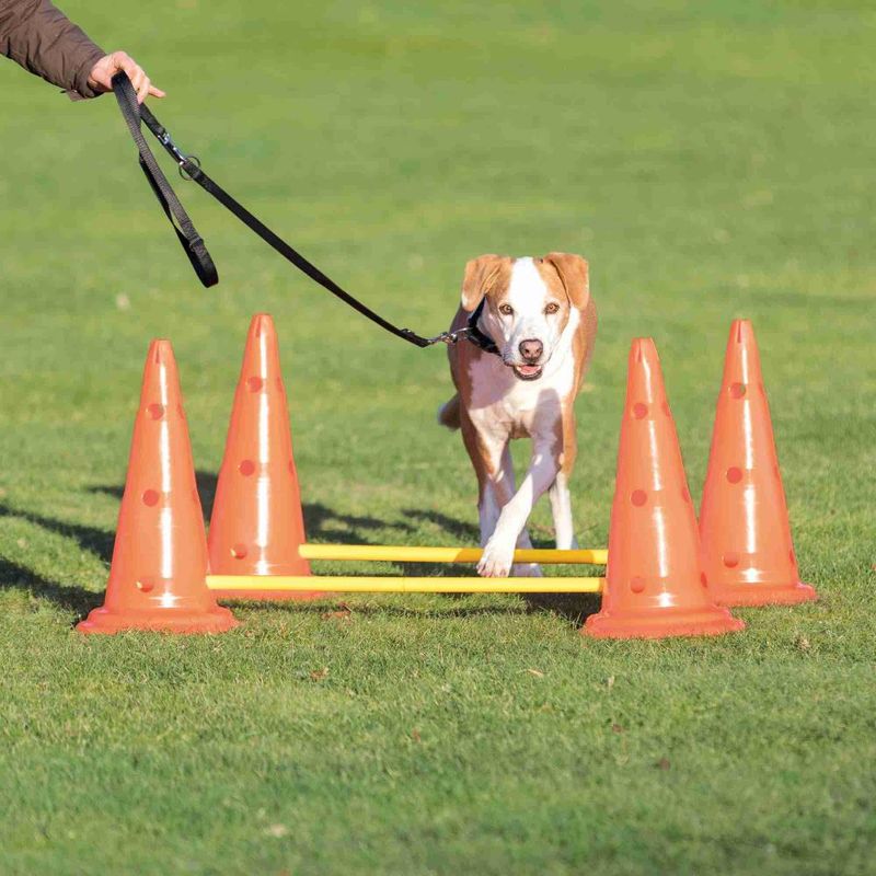 Agility hinder sett: Kjegler og pinner 30 x 50cm