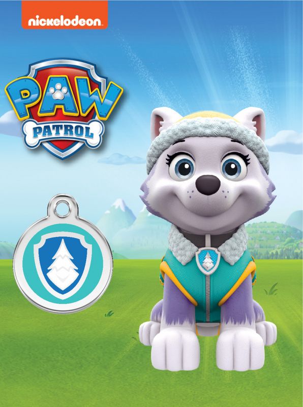 ID-brikke Paw Patrol: Everest