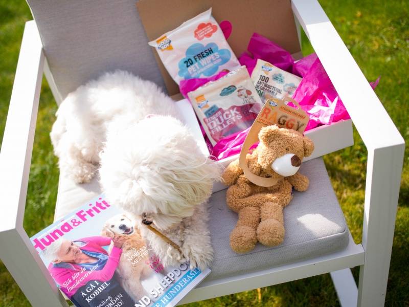 Poteklubben Forundringspakke Hund