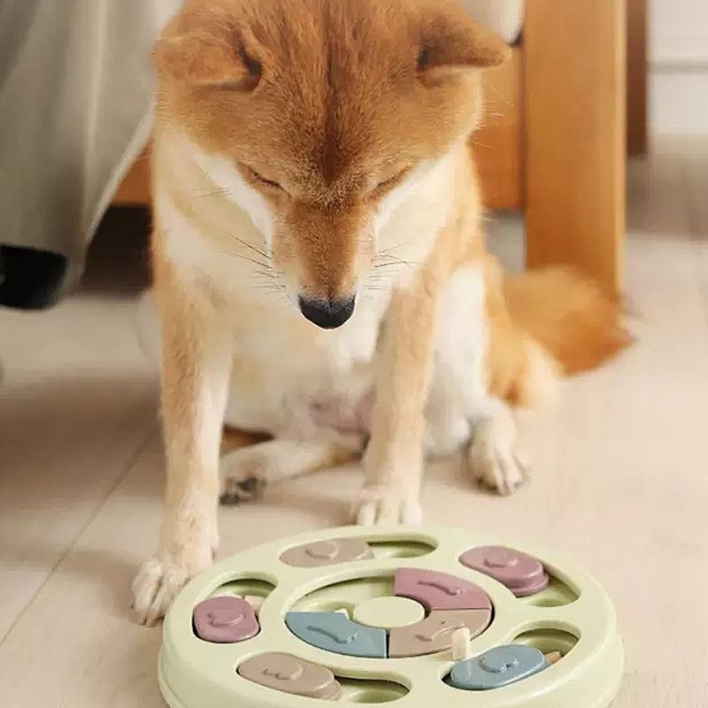 Rosa rund hjernetrim for hund - Aktivitetsleke for mental trening