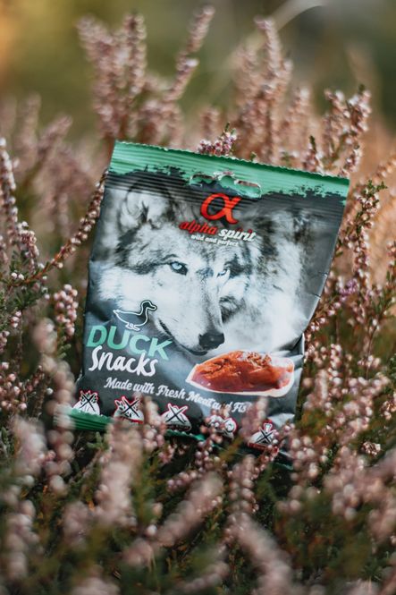 Hovedbilde AlphaSpirit and hundesnacks