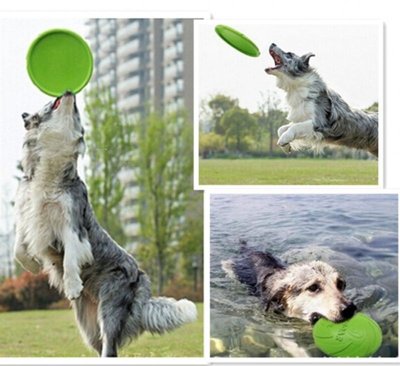 Stor frisbee til hund i gummi 22 cm