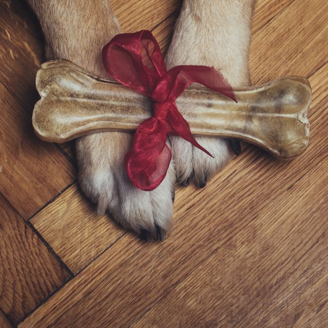 Hovedbilde Hundebein med oksehalefyll 170g