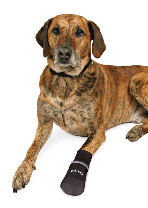 Hovedbilde Sorte walker comfort hundesko 2pk
