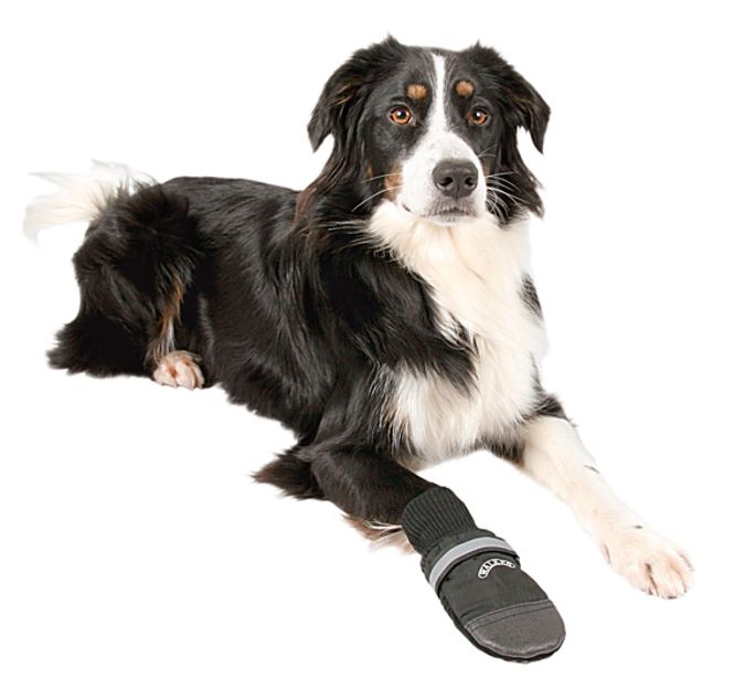 Hovedbilde Sorte walker comfort hundesko 2pk