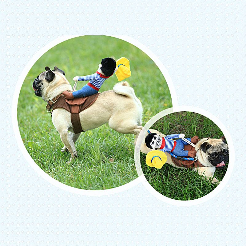 Cowboy hundekostyme