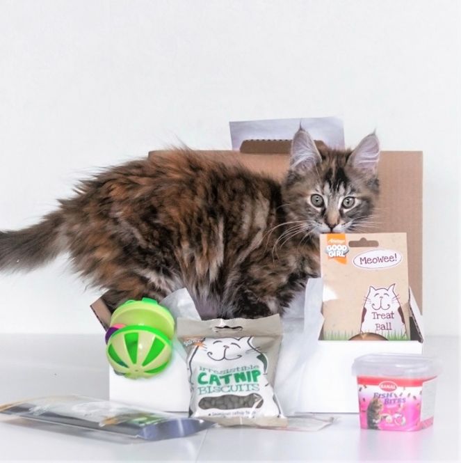 Hovedbilde Poteklubben Katt - Overraskelsespakke