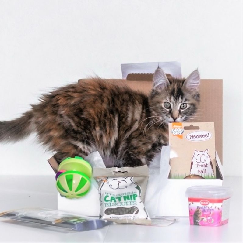 Poteklubben Katt - Overraskelsespakke