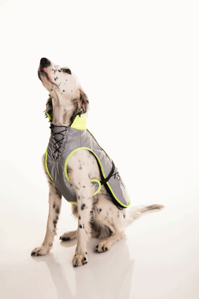 Xtreme Refleks dekken med fleece til hund