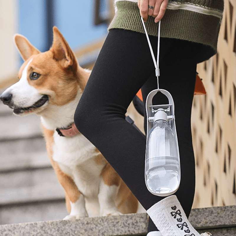 Grå enkel drikkeflaske til hund, 550ml
