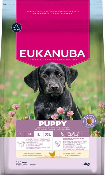 Hovedbilde Eukanuba Puppy Large Breed kylling 3 kg