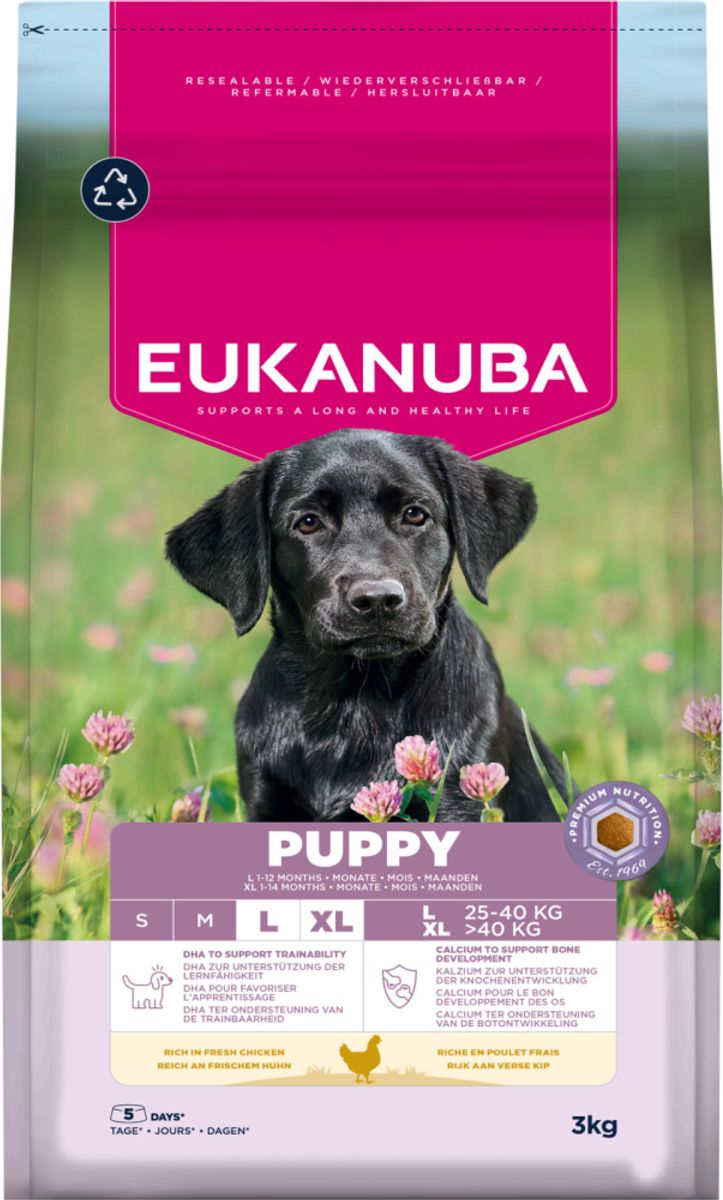 Eukanuba Puppy Large Breed kylling 3 kg