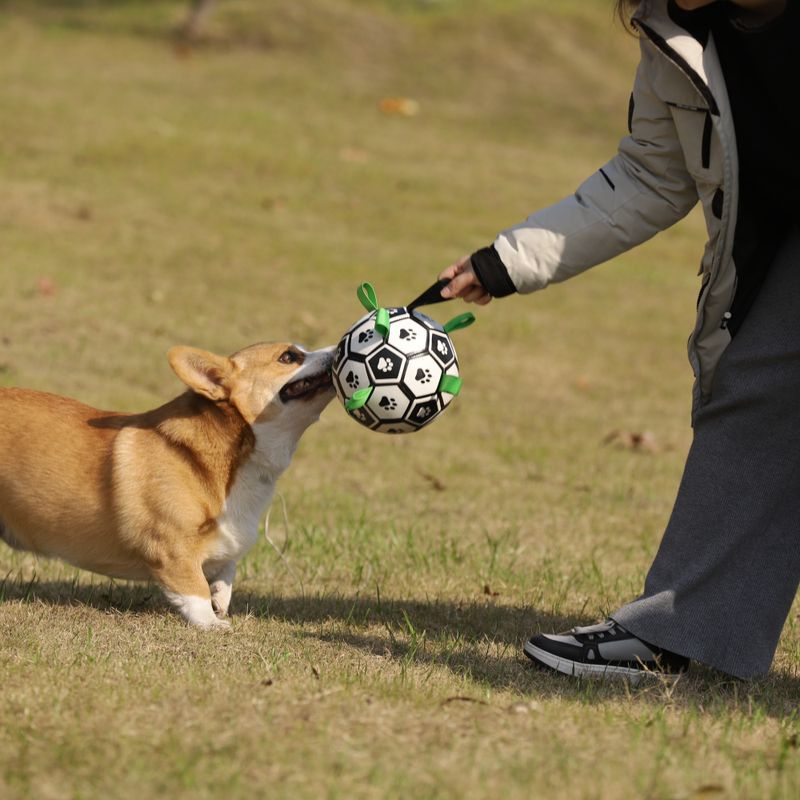 Oppblåsbar fotball til hund - solid, spretten ball for aktiv lek og trening, Ø: 15 cm