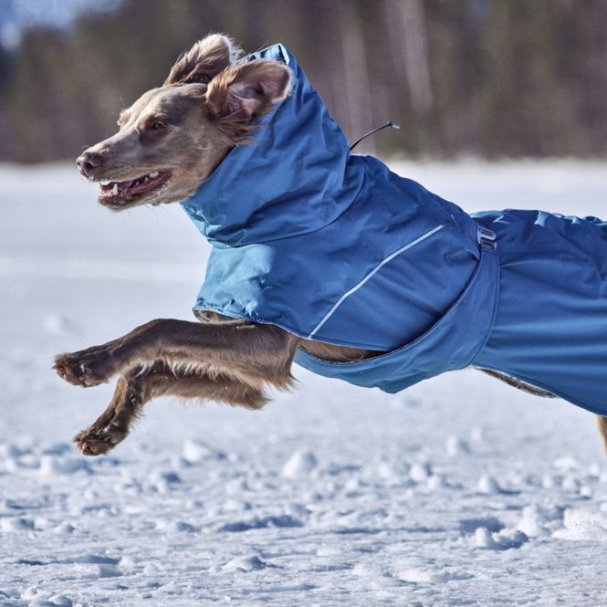 Hovedbilde Hurtta Extreme Warmer III ECO hundedekken - Bilberry Blå