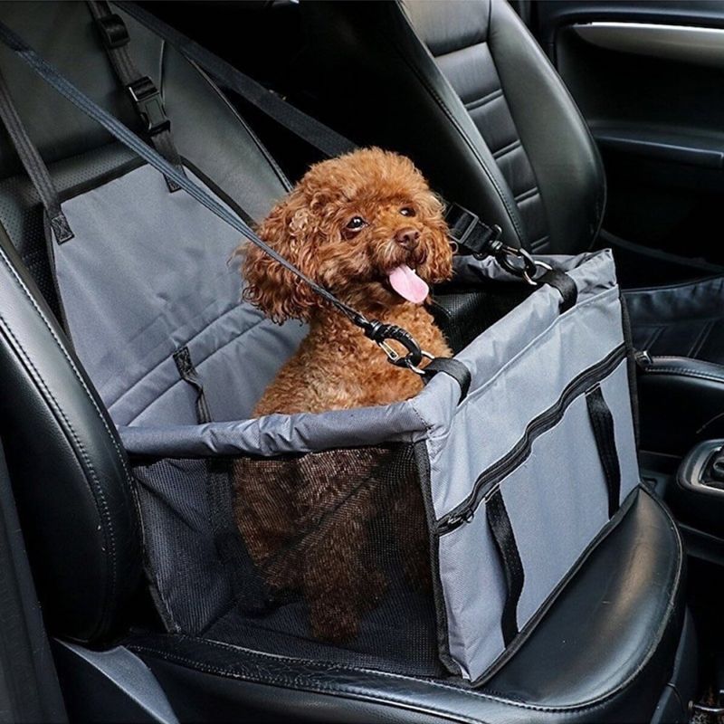 Grått enkelt bilsete til hund