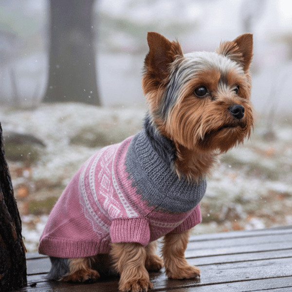 Hovedbilde Rosa Mariusgenser for hund® 70% ull