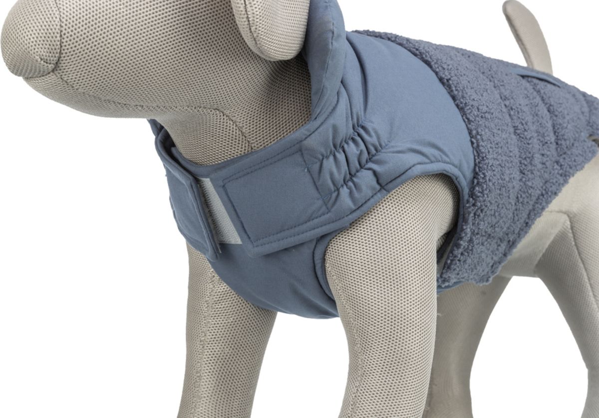 Blått teddy vinterdekken til hund