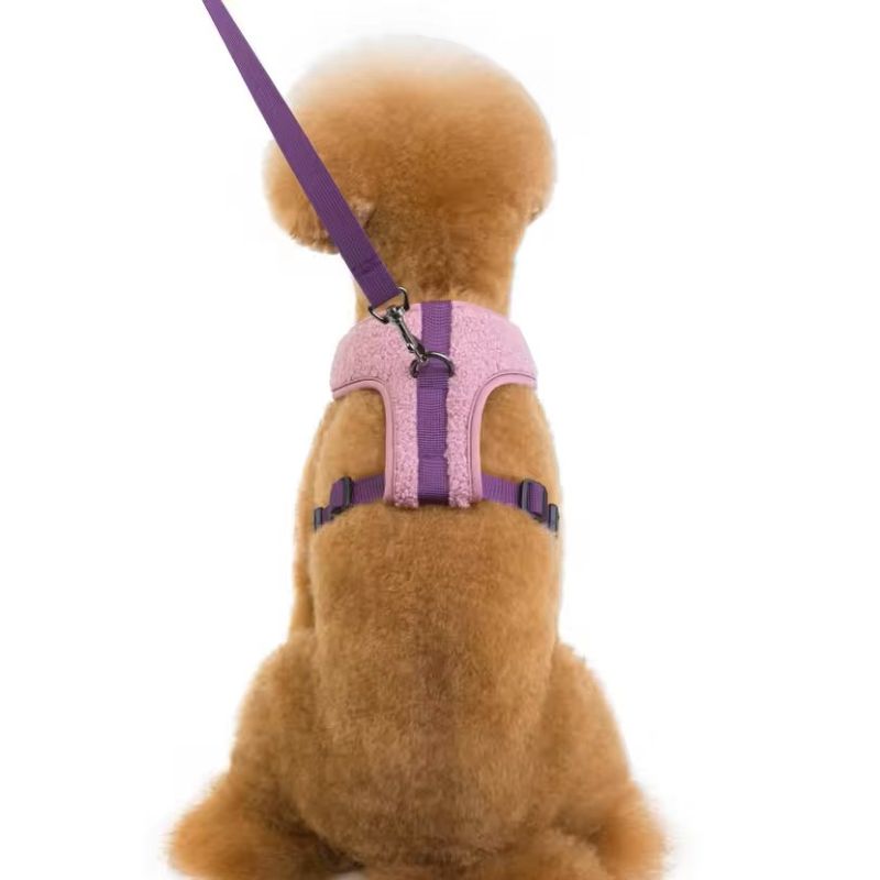 Lilla teddy hunde- og kattesele