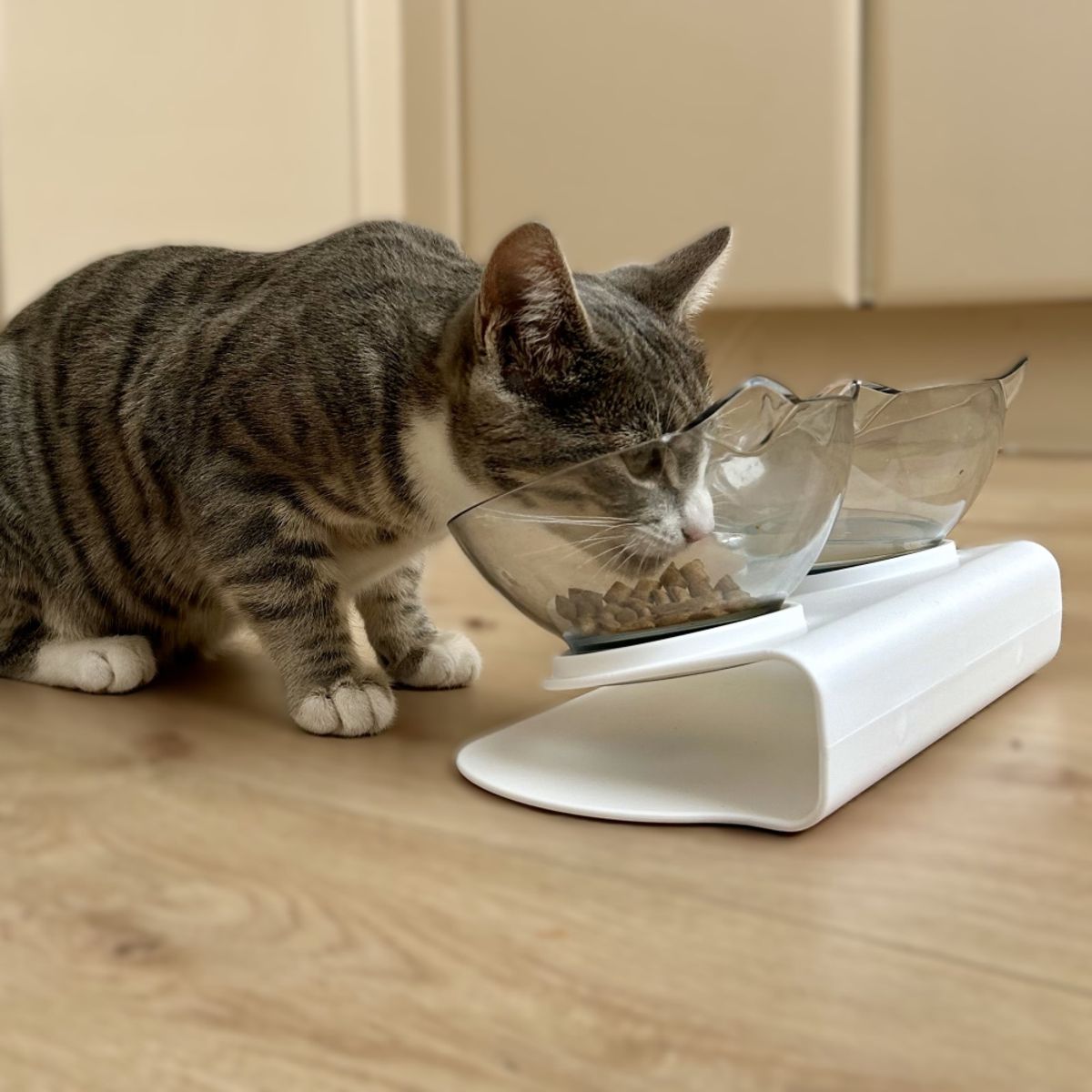 Dobbel designskål til katt