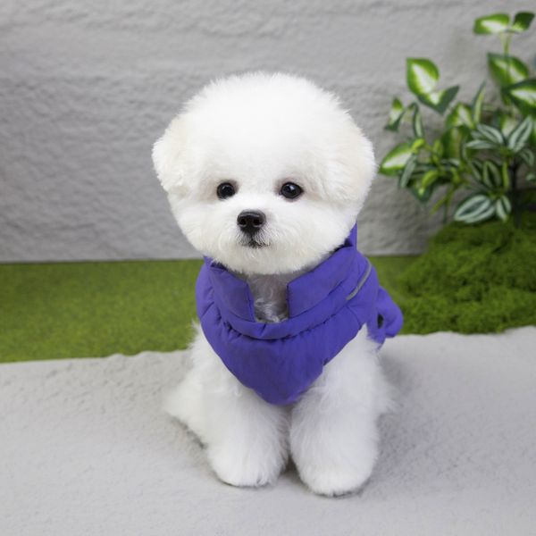 Hovedbilde Lilla lett vattert hundedekken