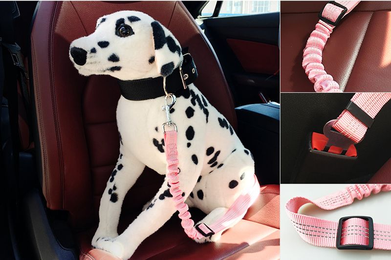 Justerbart bilbelte til hund med stretch og refleks i flere farger