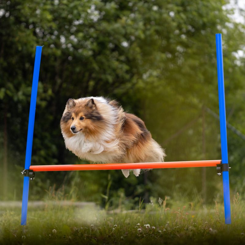 Agilitypakke - mellomstor/stor hund