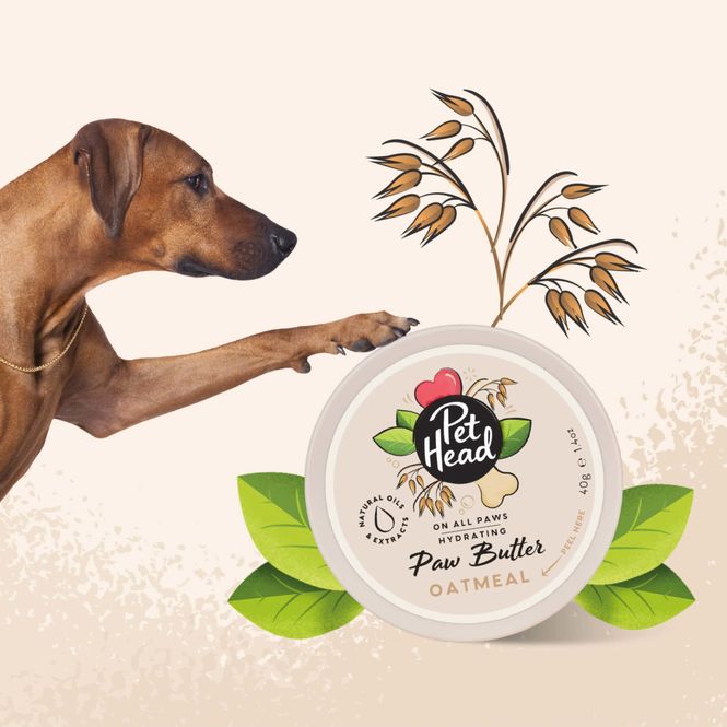 Hovedbilde Pet Head On All Paws Hydrating Paw Butter - Potekrem med Havre