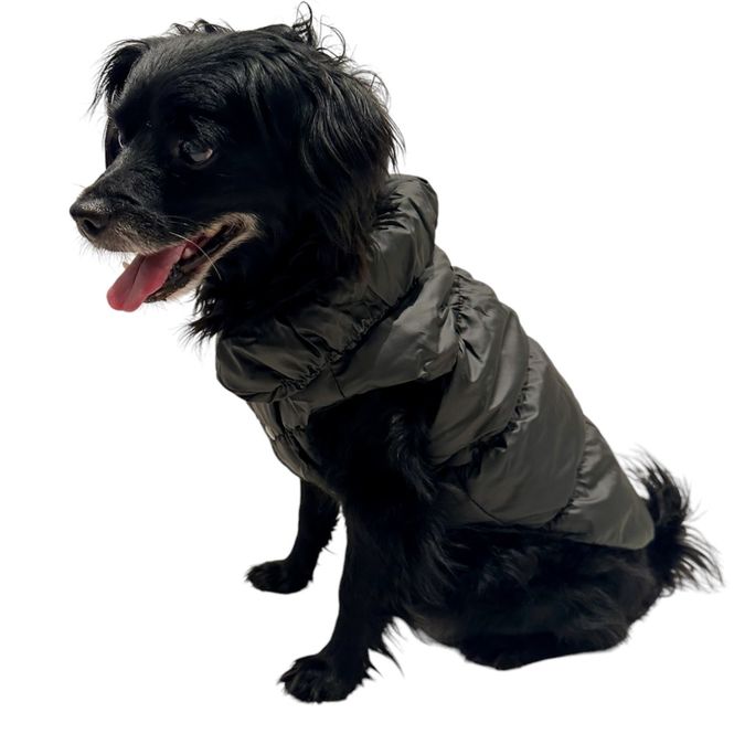 Hovedbilde Sort boblejakke til hund