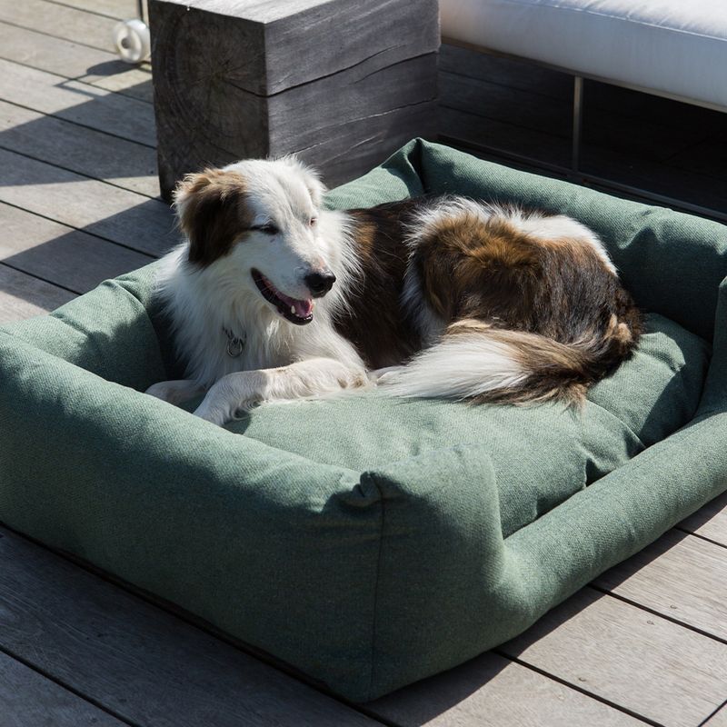 Fantail Hundeseng Snooze Origin Botanical Green, Str M: 80 x 60 cm