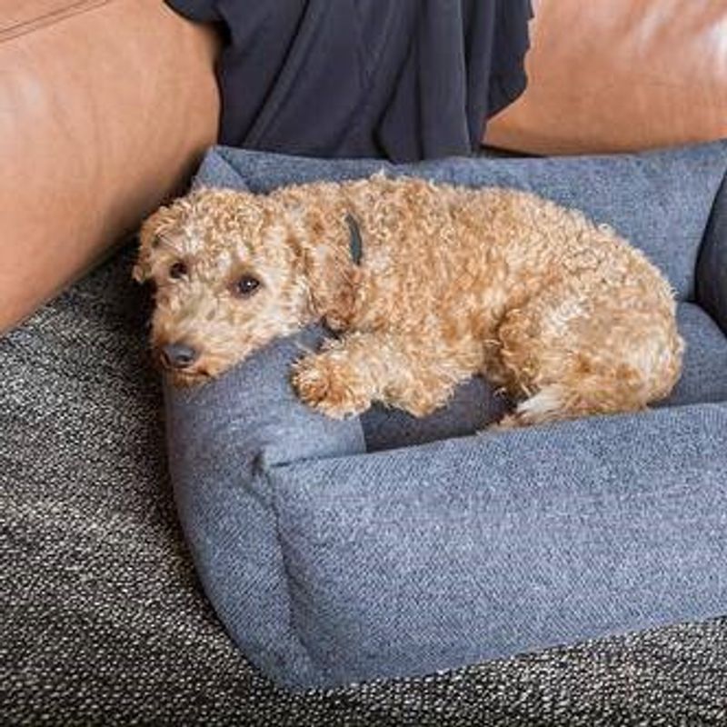 Fantail hundeseng Snug Origin Epic Gray, Str M: 100 x 80 cm