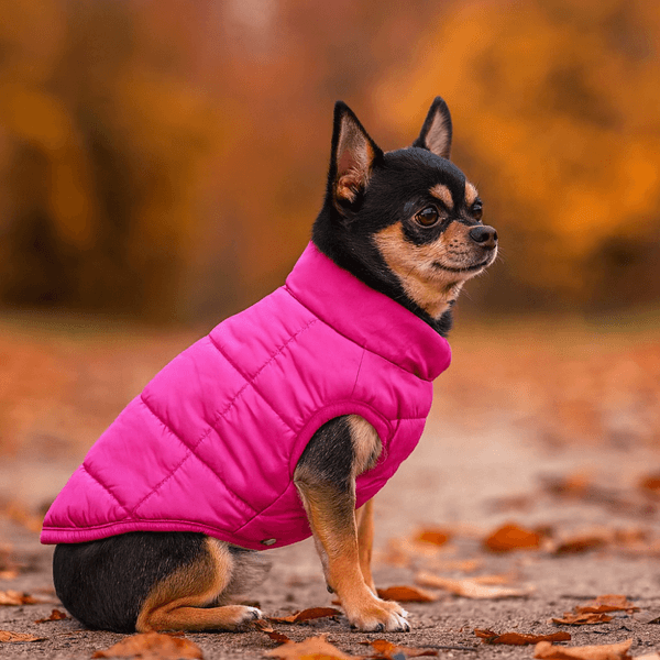 Hovedbilde Rosa boblevest til hund