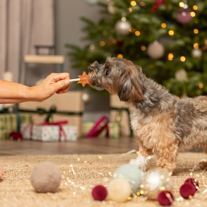 Julefigurer lollipop kjærlighet hundetygg med kylling