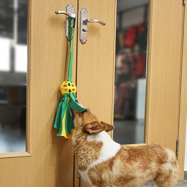 Hovedbilde Hundeleke med ulike teksturer