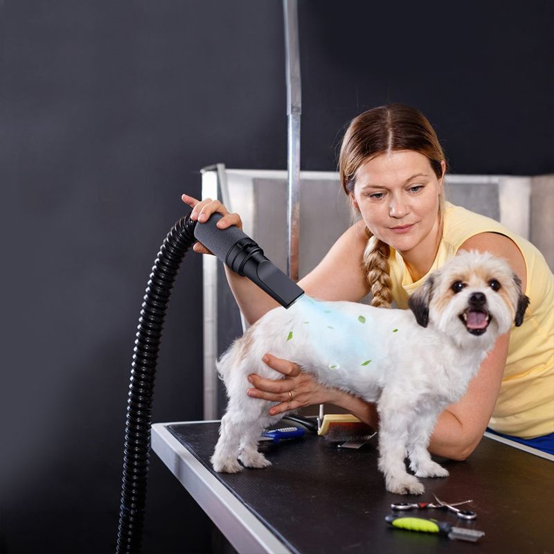 Pawsome hundeblåser Max Airflow 3200W  4.3HK| Kraftig profesjonell hundeføner