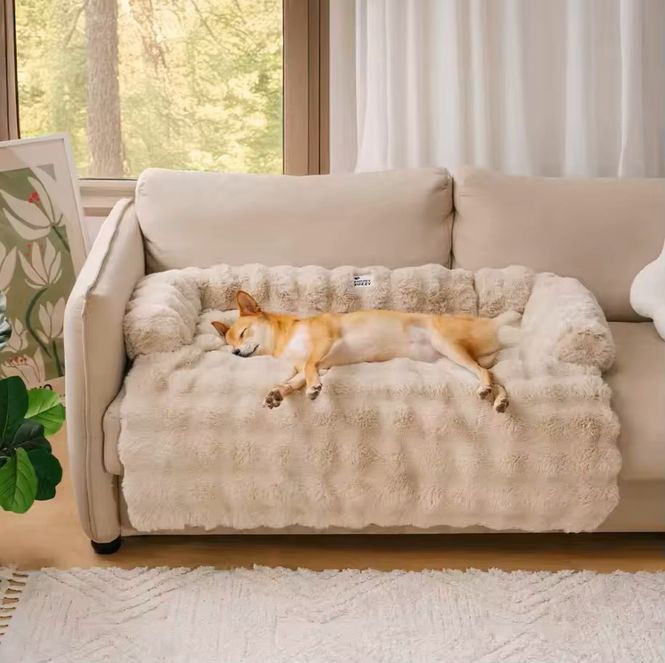 Hovedbilde beige fluffy sofaseng til hund og katt - Small
