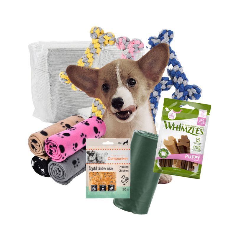 Valpepakke - Liten hund