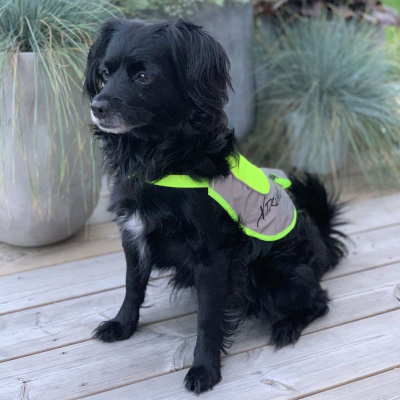 Xtreme Refleksvest for hund