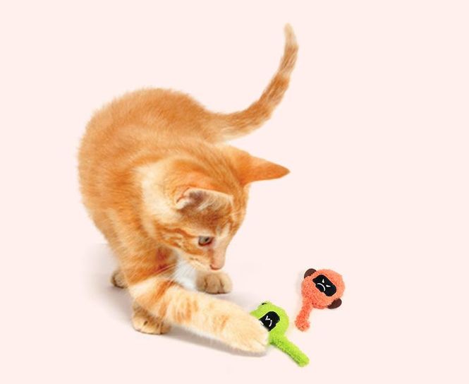 Hovedbilde Plush catnip katteleke