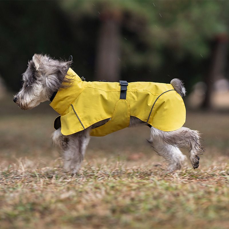 Gult hundedekken - vann og vindtett