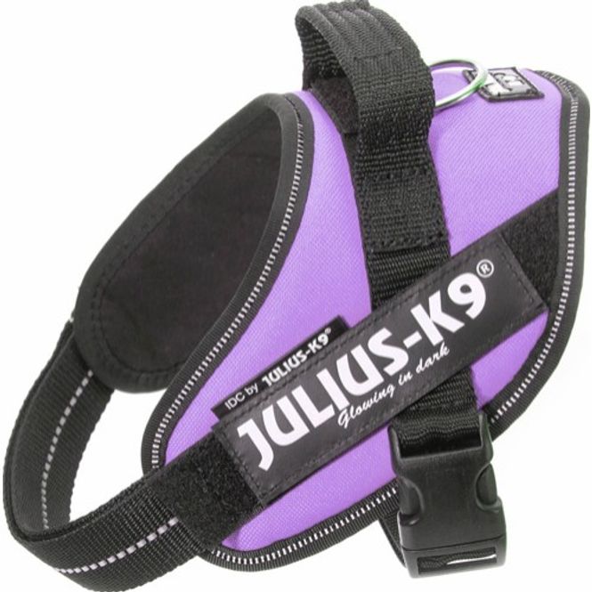 Hovedbilde Lilla - Julius-K9 IDC Hundesele