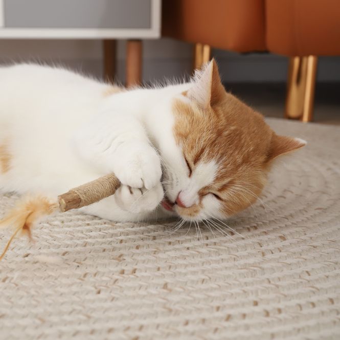 Hovedbilde Cat stick katteleke med poligonum ca 25 cm