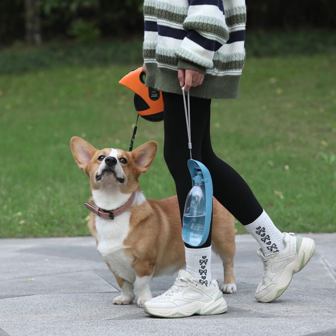 Hovedbilde Petrolfarget  enkel drikkeflaske til hund, 550ml