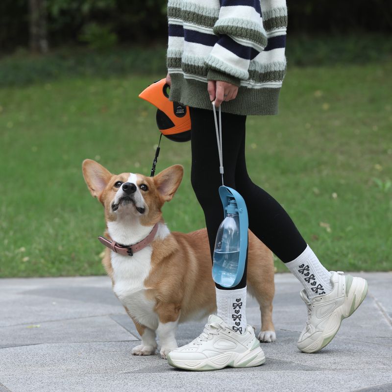 Petrolfarget  enkel drikkeflaske til hund, 550ml