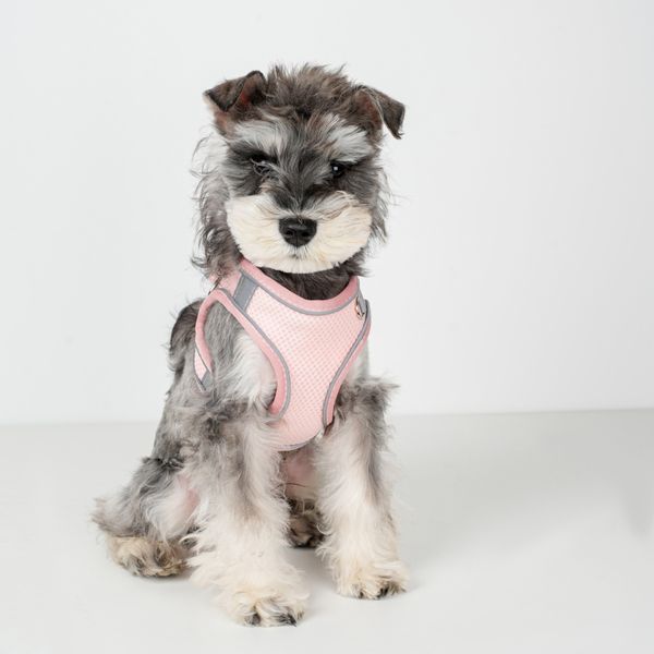 Hovedbilde Premium Lys rosa mesh hundesele med lenke