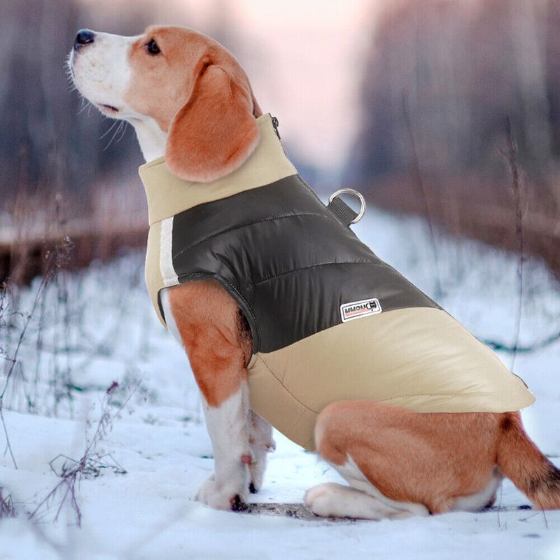 Khaki og sort boblevest til hund
