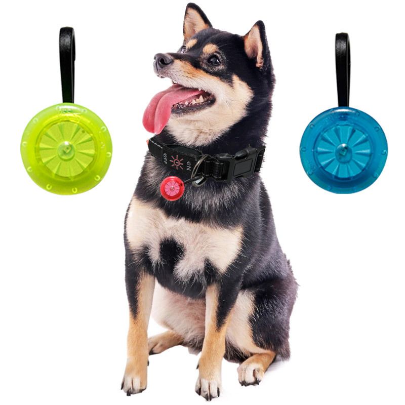 Grønt lite ledlys til hund