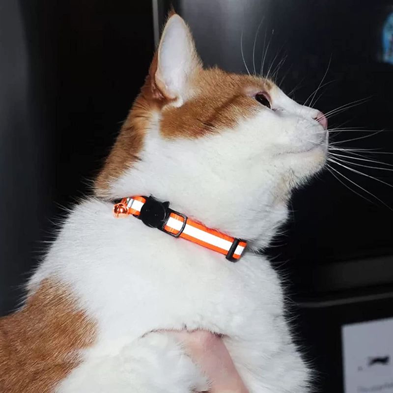 Reflekshalsbånd til katt med slippspenne