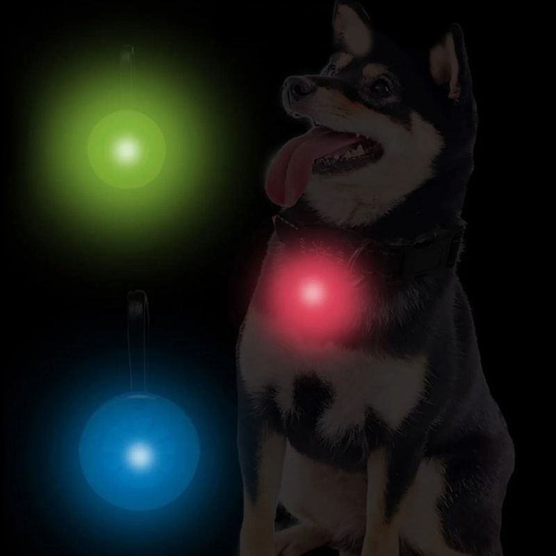 Blått lite ledlys til hund