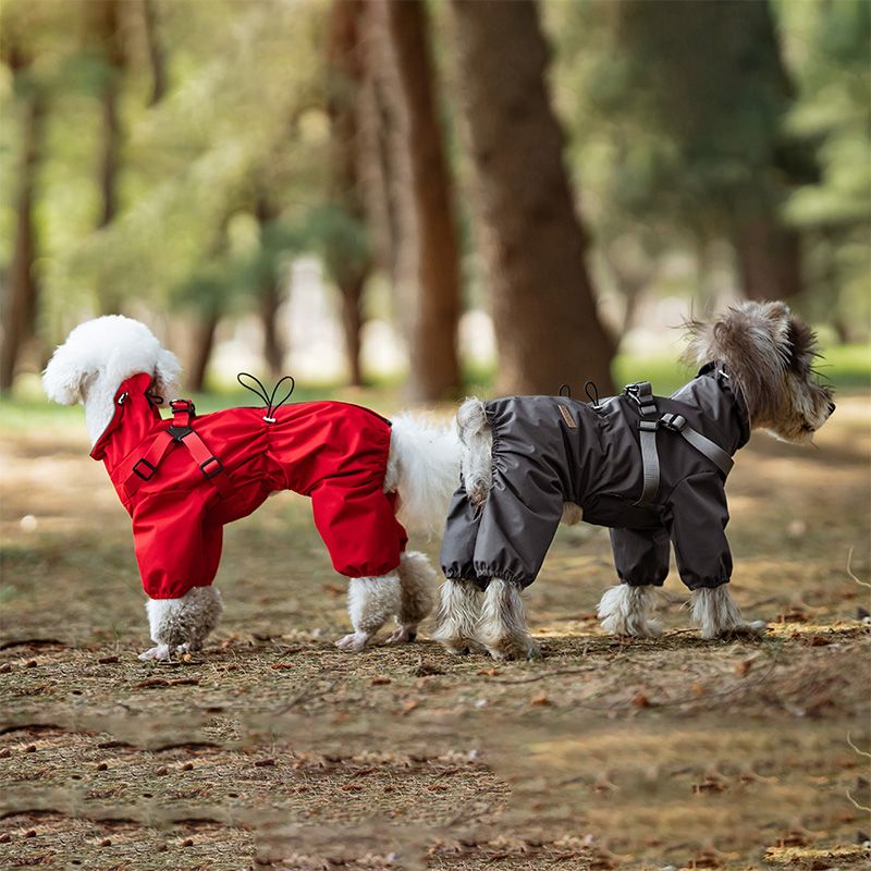 Grå fire-bens overall til hund, hundedress som er vann- og vindtett