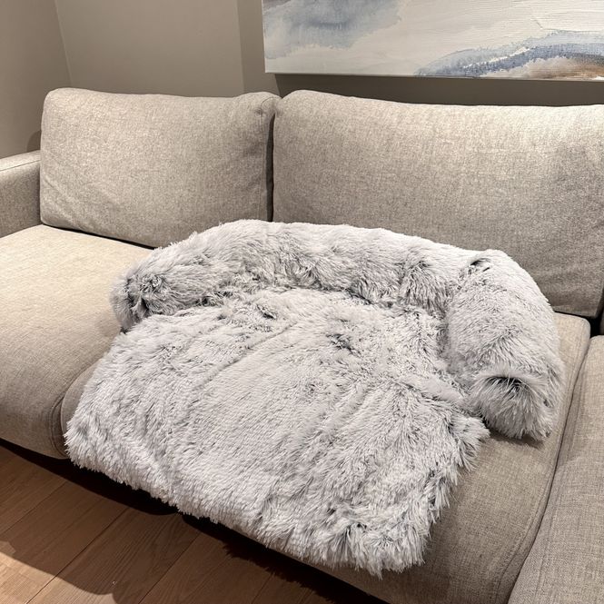 Hovedbilde Lys grå hundeseng til sofa, seng, bil og gulv - Seng til hund og katt